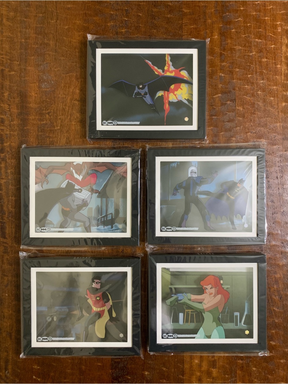 New Batman The Animated Series Series 1 Pop Art Animation Cel 5pc Bundle